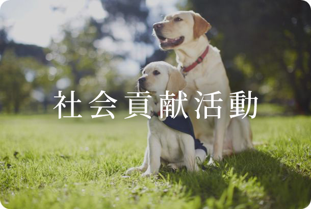 社会貢献活動